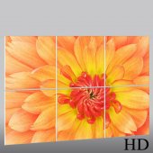 Flower - Triptych Forex Print